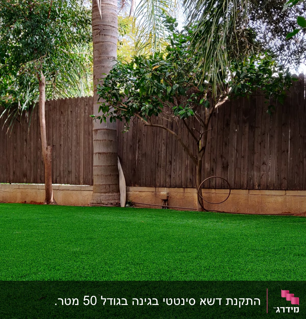 דשא ירוק, עצים, גדר עץ, צינור השקיה